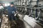 Myjka wysokociśnieniowa Karcher HDS 8/20 De Spalinowa, ciepłowodna (200bar, 800l/h, 80°C) OD RĘKI!! 1.210-910.0